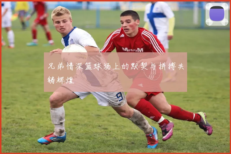 兄弟情深篮球场上的默契与拼搏共铸辉煌
