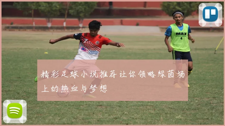 精彩足球小说推荐让你领略绿茵场上的热血与梦想