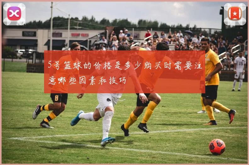 5号篮球的价格是多少购买时需要注意哪些因素和技巧